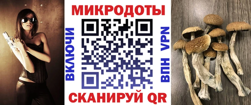 Псилоцибиновые грибы мухоморы  Салехард 